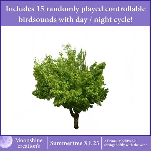 [MC] Summertree XE 23