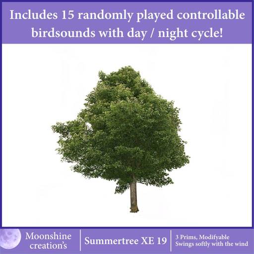[MC] Summertree XE 19