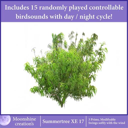 [MC] Summertree XE 17