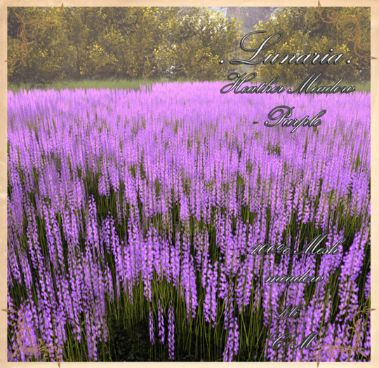 .Lunaria. Heather Meadow - Purple 