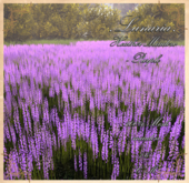 .Lunaria. Heather Meadow - Purple 