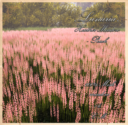 .Lunaria. Heather Meadow - Peach 