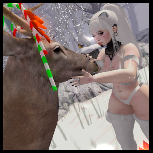 +CD+ Tender moment group pose (boxed)