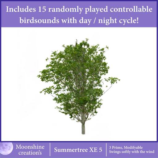 [MC] Summertree XE 5