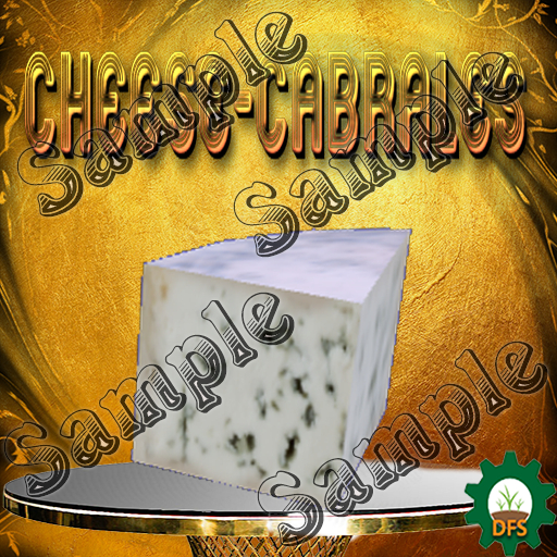 DFS Texture Cheese-Cabrales