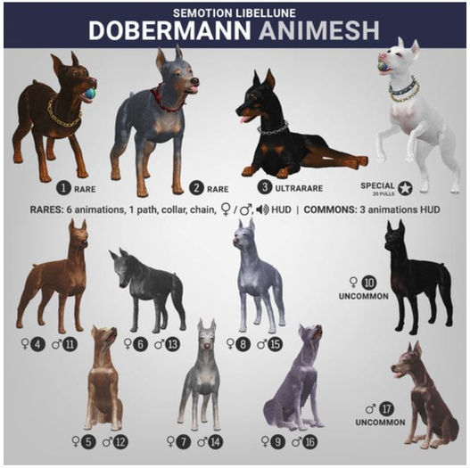 SEmotion Libellune Dobermann Animesh #2 RARE