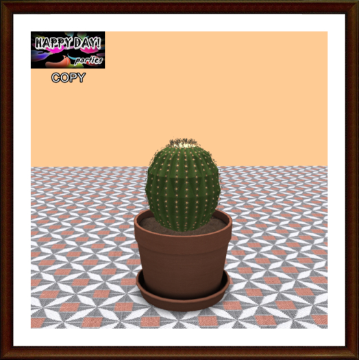 Mexico - Cactus Ball