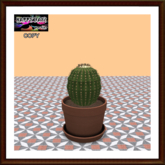 Mexico - Cactus Ball