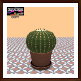 Mexico - Cactus Big Ball