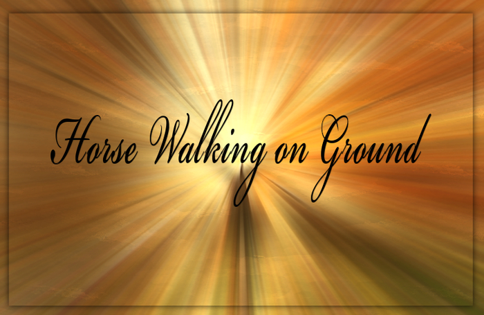 Bunny's Sounds-Horse Walking on Ground