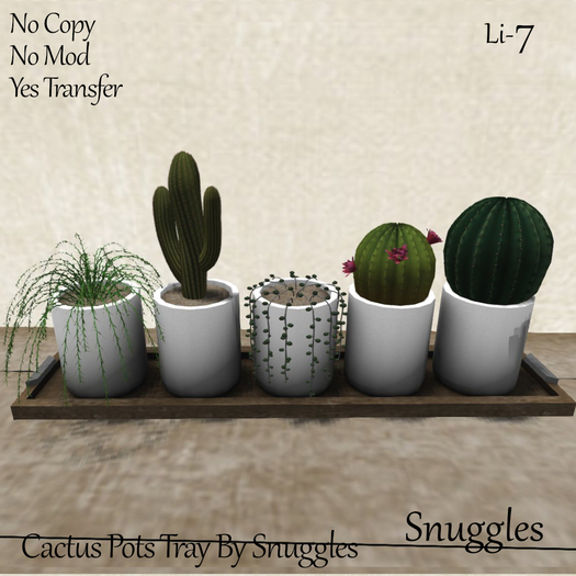 Cactus Pots Tray By Snuggles 
