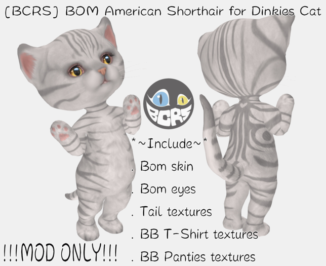 [ECDS] BOM American Shorthair for Dinkies Cat
