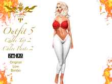 Firebird Outfit 5