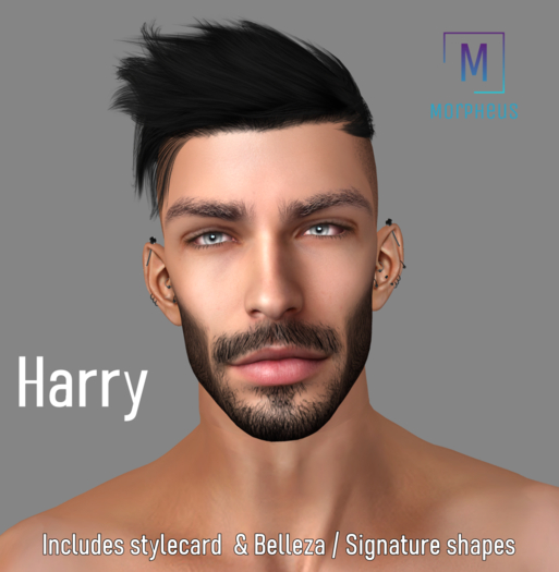 Lelutka Skyler 2.5 Shape Harry