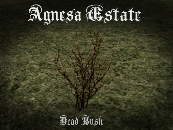 Agnesa Estate Dead Bush