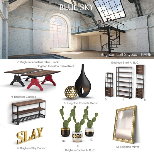 [-BLUE SKY-] Brighton Cactus C