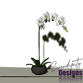 Serendipity Designs - Aurora LR Orchid [WEAR ME]