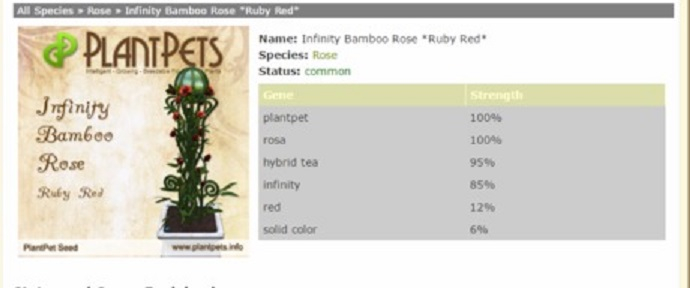 PlantPet Seed [Infinity Bamboo Rose *Ruby Red*]