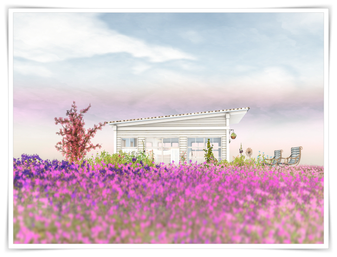 WHITE DUNES ESTATE *Trefoil Hillside* Rental Information