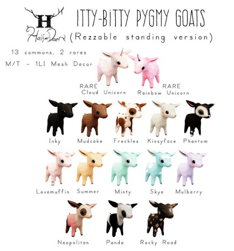 +H-Dr+ Itty-Bitty Pygmy Goat - Inky (Shoulder)