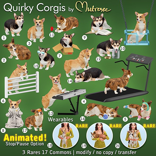 Mutresse-Quirky Corgis-06
