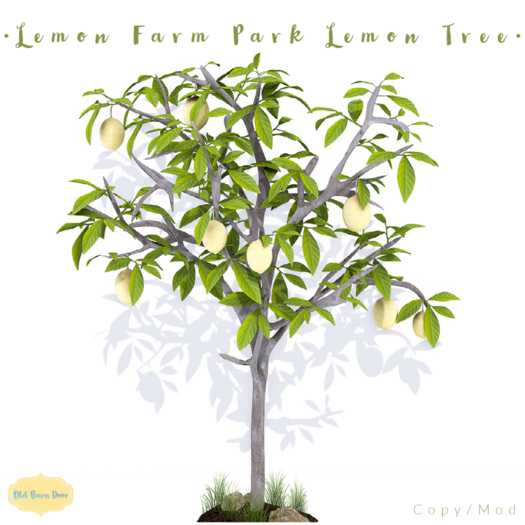 {OBD} Lemon Farm Park Lemon Tree 