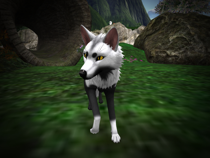 NM's Junk & Stuff Inverted_FoxMutt (BOXED) !!FREEBIE!!