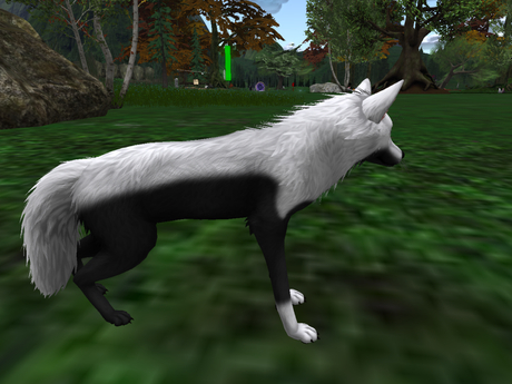 Second Life Marketplace - NM's Junk & Stuff Inverted_FoxMutt (BOXED