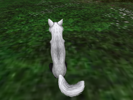 Second Life Marketplace - NM's Junk & Stuff Inverted_FoxMutt (BOXED