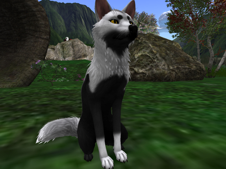 Second Life Marketplace - NM's Junk & Stuff Inverted_FoxMutt (BOXED