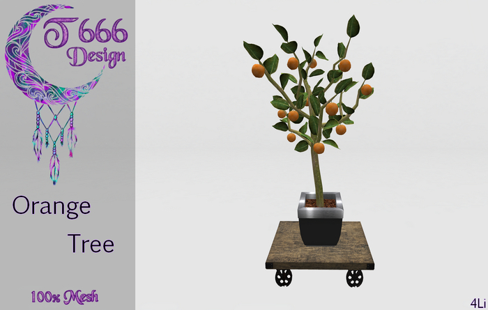 - Orange Tree -