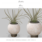 Dahlia - Okra - Snake Plant 