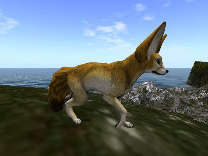 NM's Junk & Stuff Fennec_Fox (BOXED)