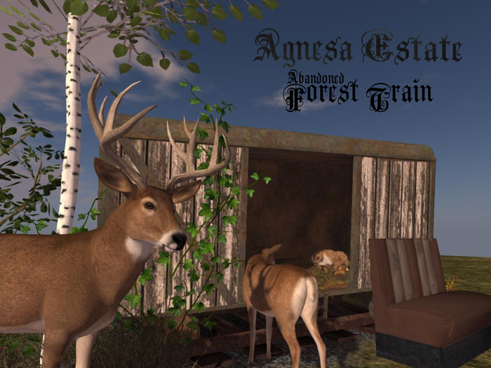 Agnesa Estate Abandoned Forest Train