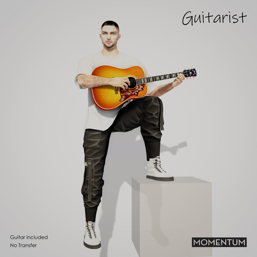 Momentum - Guitatist