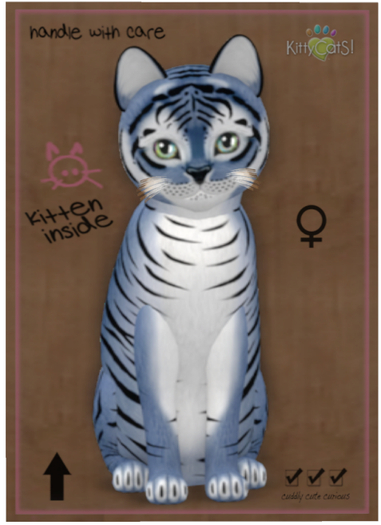 KittyCatS Box - Tiger! - Dusky Winkle