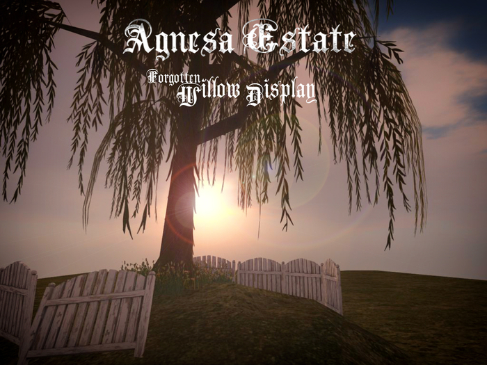 Agnesa Estate Forgotten Willow Display