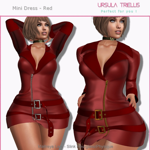 5987 Zippered Mini Dress  - Red