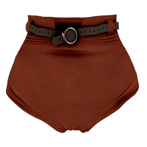 The Annex - Blythe Shorts - Rust