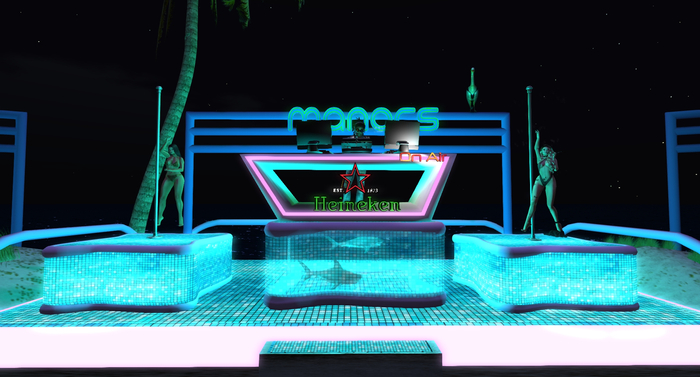 DJ Cabin & Dance Pole
