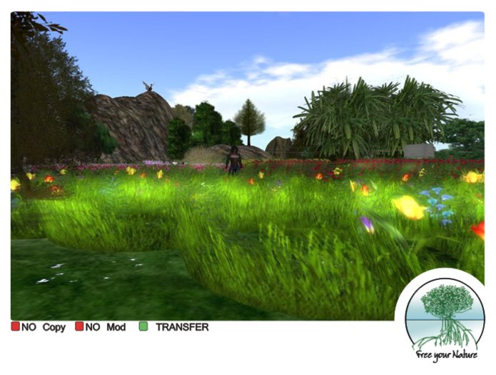 Box spring patch flowers and grass