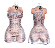 Blue Transparent Dress