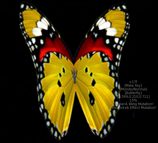 {Papillon} Ma/Mon/Nor/Fey/Butterfly/ClipperA/FireworksB Cocoon