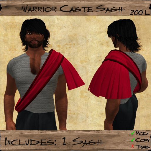 Warriors Shoulder Sash