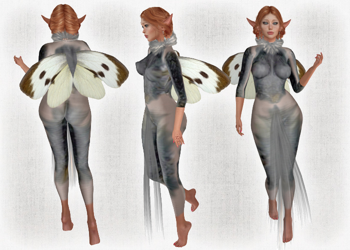 *Heart* - Bielinek Fae 2