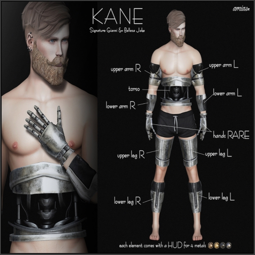 amias - KANE leg lower R Belleza