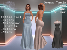 {RP} Dress Tanja Silver uni long