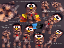 [Black Bantam] I sit Turkey Yorkey (decor) RARE