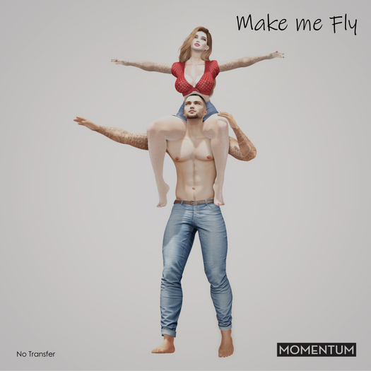 Momentum - Make me Fly