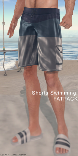 DEMO DossiEr_Shorts Swimming